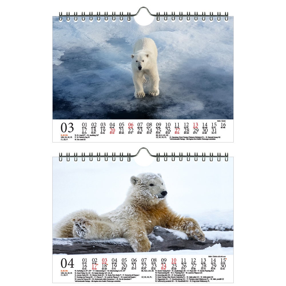 Polar Bear Magic DIN A5 Wall Calendar for 2022 Polar Bear | Etsy