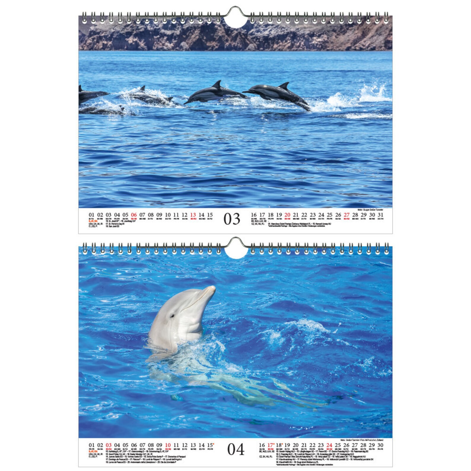 Dolphin Magic DIN A4 Calendar for 2022 Dolphin Dolphin Soul | Etsy