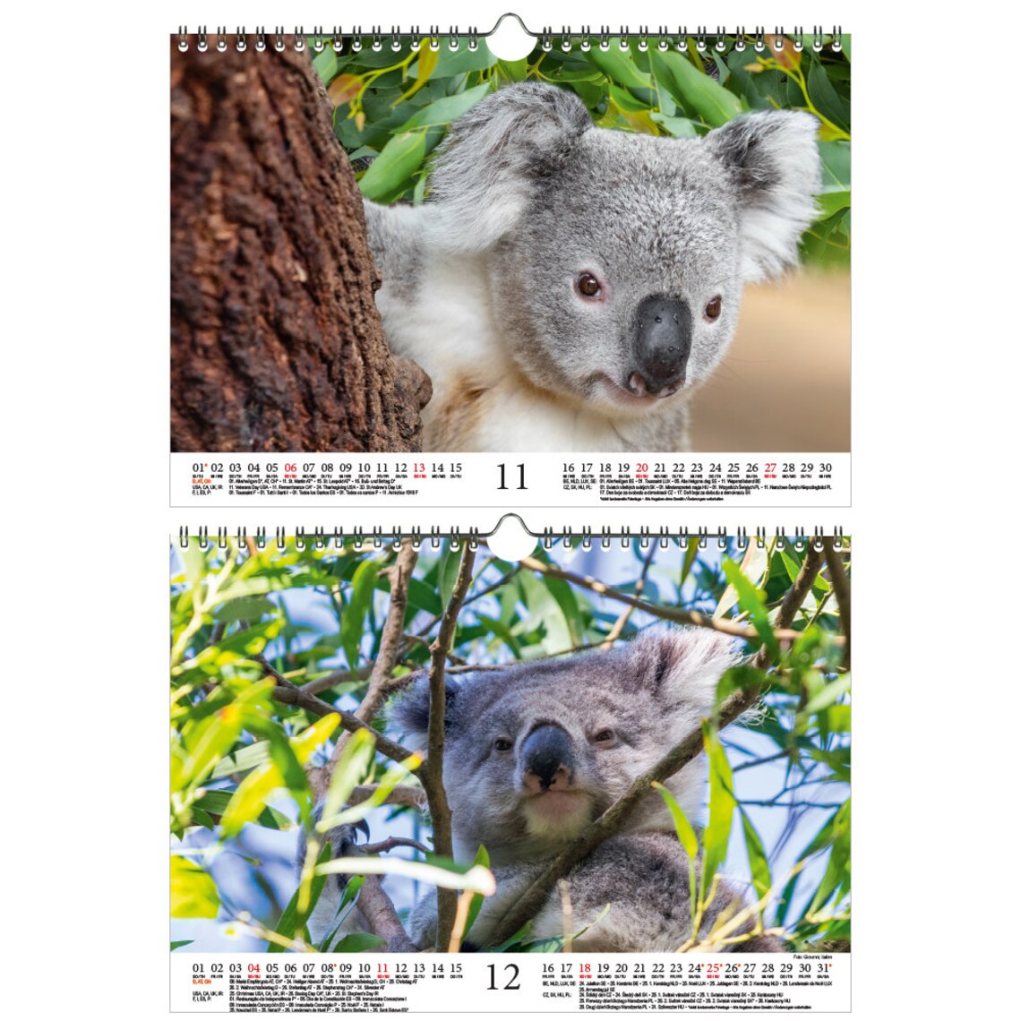 Koala Magic DIN A4 Calendar for 2022 Koala Bears Koala Soul | Etsy