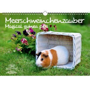 Guinea Pig Magic DIN A3 Calendar - Perpetual Calendar Guinea Pigs - Soul Magic