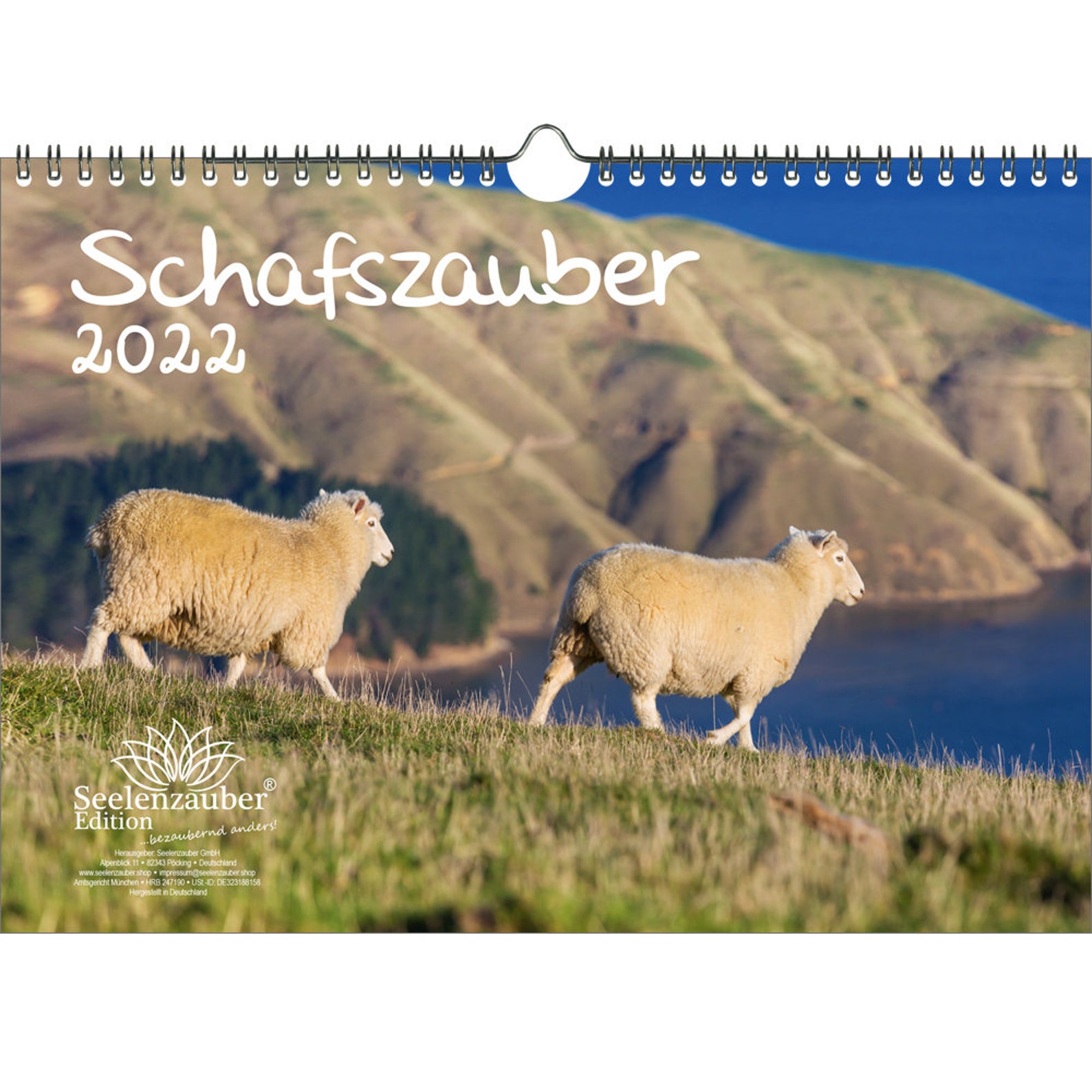 Sheep Magic DIN A4 Calendar for 2022 Sheep and Lambs Soul Etsy