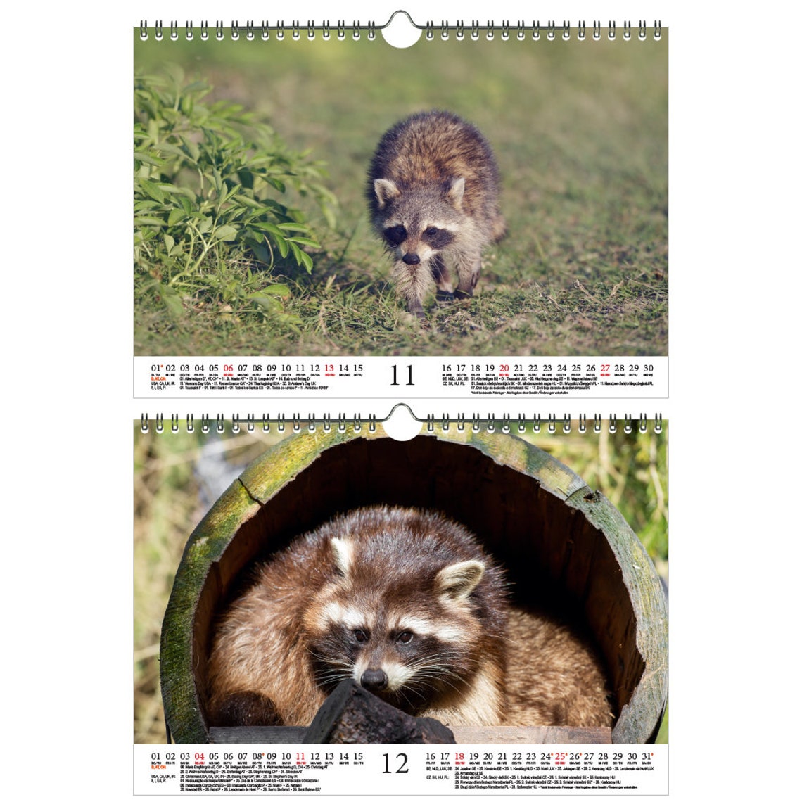 raccoon-magic-din-a4-calendar-for-2022-raccoons-soul-magic-etsy