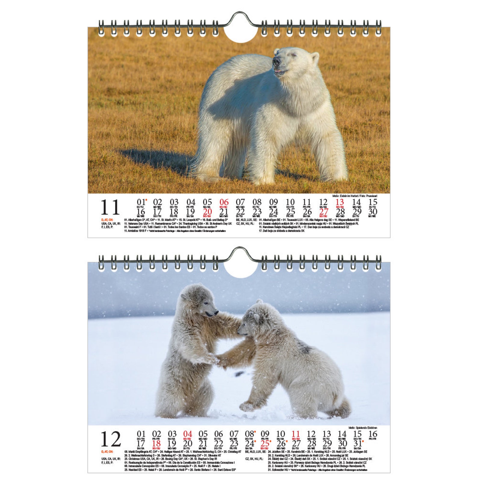 Polar Bear Magic DIN A5 Wall Calendar for 2022 Polar Bear Etsy