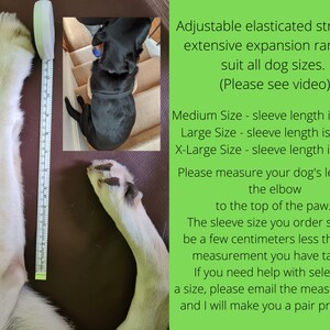 May include: A white dog's leg is measured with a tape measure to determine the correct size for a dog leg support sleeve. The text explains that the sleeve size should be a few centimeters less than the measurement taken. The text also provides the sleeve lengths for different sizes: Medium (26 cm), Large (28 cm), and X-Large (30 cm).