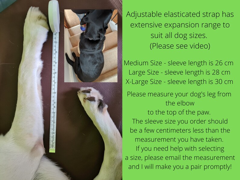 May include: A white dog's leg is measured with a tape measure to determine the correct size for a dog leg support sleeve. The text explains that the sleeve size should be a few centimeters less than the measurement taken. The text also provides the sleeve lengths for different sizes: Medium (26 cm), Large (28 cm), and X-Large (30 cm).