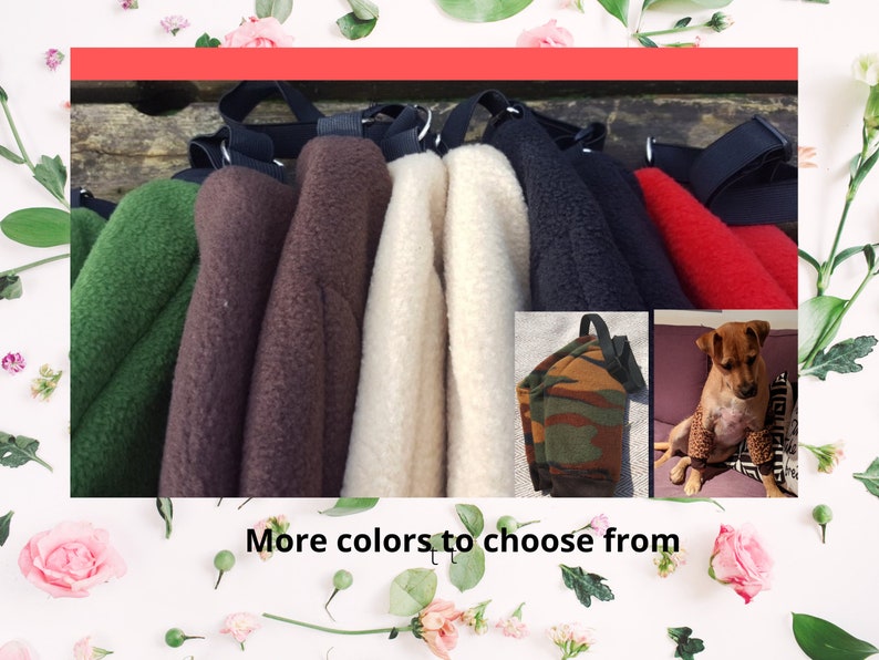 May include: A variety of fleece dog beds in different colors, including green, brown, white, black, and red. The beds have a strap for carrying.  More colors to choose from.