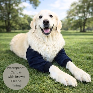 Puede incluir: Un golden retriever feliz con mangas de lona impermeables azul marino con forro polar marrón, tumbado sobre hierba verde. El texto de la imagen dice "Waterproof Canvas with brown Fleece lining".