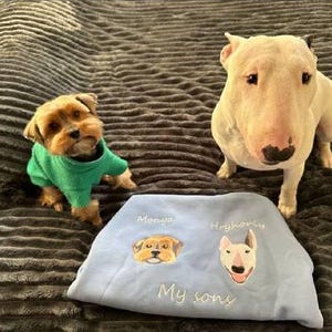 Embroidered Cat Dog Pet Animal Photo Portrait Hoodie Embroidery Photography Sweatshirt Custom Gift