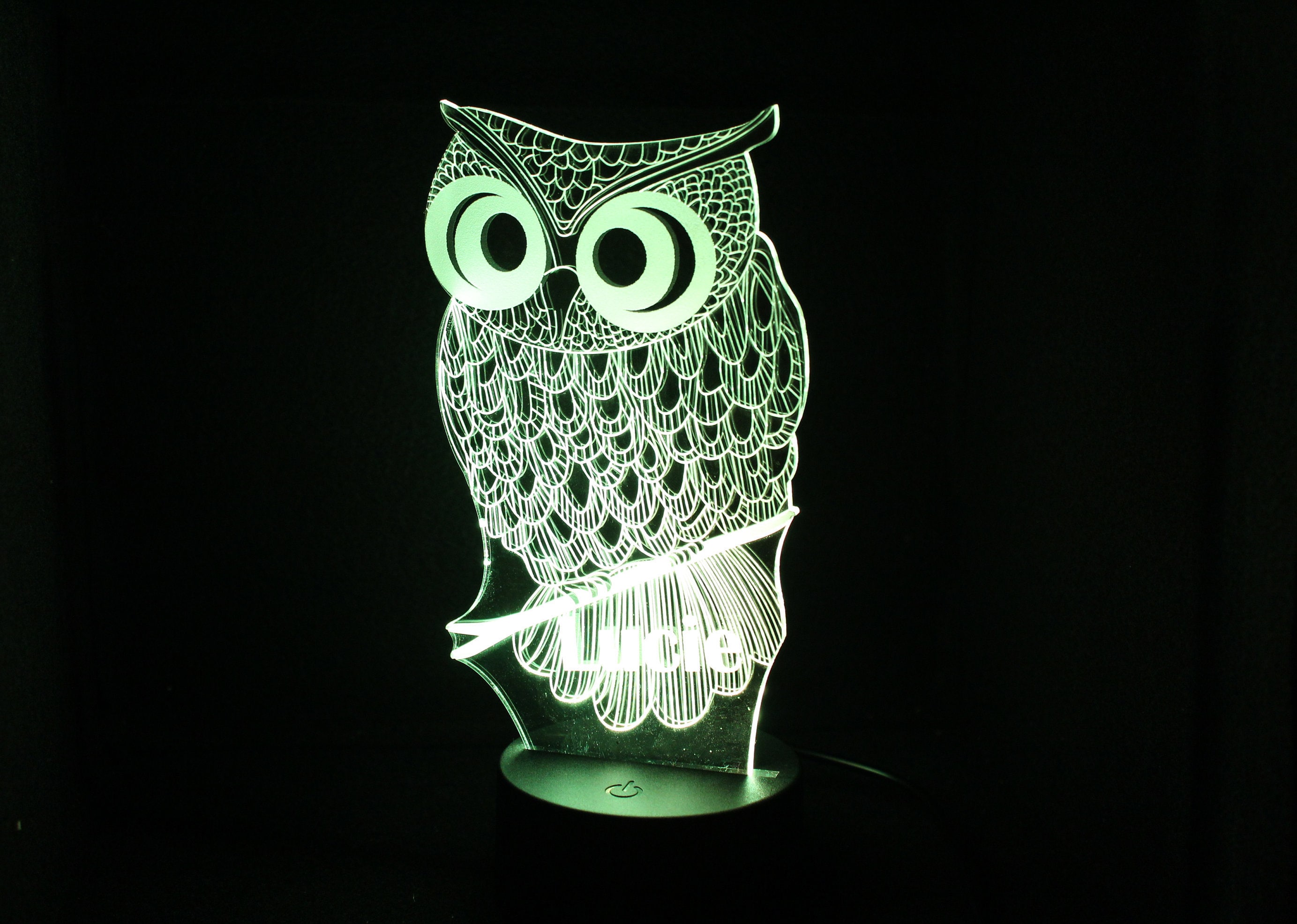 Personalized Owl 3D Illusion LED Lit Lamp Etsy New Zealand