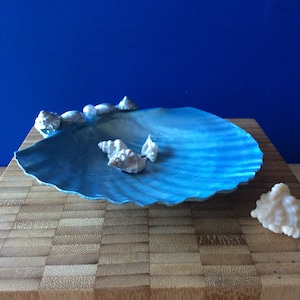 Seashell holder