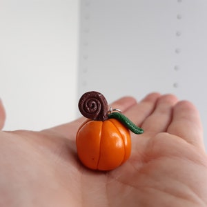 Pu&ograve; includere: Una piccola zucca arancione con un gambo marrone e una foglia verde. La zucca &egrave; fatta di pasta polimerica ed &egrave; un ciondolo fatto a mano.