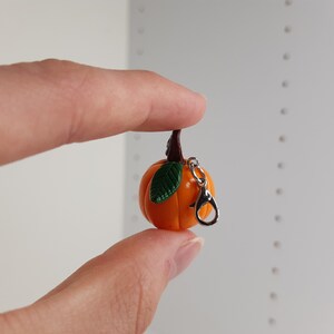 Pu&ograve; includere: Un piccolo ciondolo a forma di zucca arancione con una foglia verde e una chiusura in metallo argentato. Il ciondolo &egrave; circa delle dimensioni di una moneta da 20 centesimi di euro.