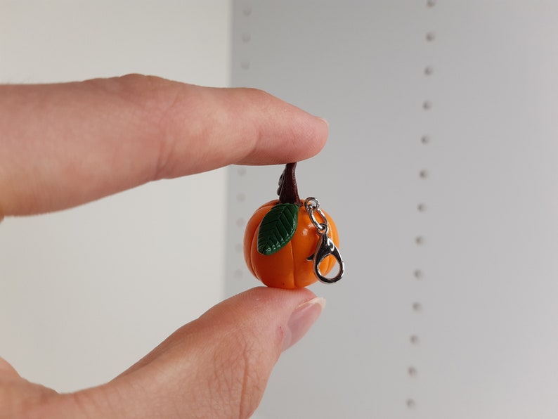 Pu&ograve; includere: Un piccolo ciondolo a forma di zucca arancione con una foglia verde e una chiusura in metallo argentato. Il ciondolo &egrave; circa delle dimensioni di una moneta da 20 centesimi di euro.