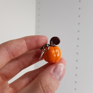 Pu&ograve; includere: Un piccolo ciondolo a forma di zucca arancione con un gambo marrone. Il ciondolo &egrave; attaccato a un portachiavi argentato.