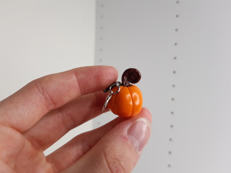 Pu&ograve; includere: Un piccolo ciondolo a forma di zucca arancione con un gambo marrone. Il ciondolo &egrave; attaccato a un portachiavi argentato.