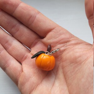 Pu&ograve; includere: Un piccolo ciondolo a forma di zucca arancione con una foglia verde e un anello argentato. Il ciondolo &egrave; realizzato in argilla polimerica ed &egrave; perfetto per aggiungere un tocco autunnale ai tuoi gioielli o ai tuoi lavoretti.