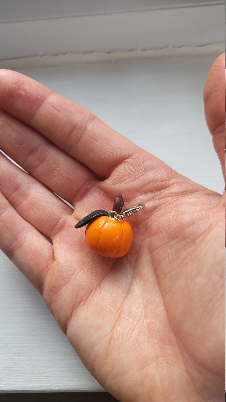 Pu&ograve; includere: Un piccolo ciondolo a forma di zucca arancione con una foglia verde e un anello argentato. Il ciondolo &egrave; realizzato in argilla polimerica ed &egrave; perfetto per aggiungere un tocco autunnale ai tuoi gioielli o ai tuoi lavoretti.