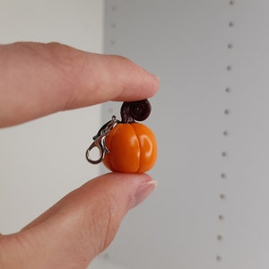 Pu&ograve; includere: Un piccolo ciondolo a forma di zucca arancione con uno stelo marrone, attaccato a un portachiavi argentato.