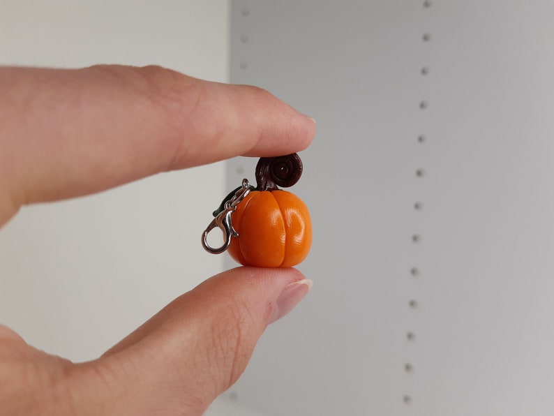 Pu&ograve; includere: Un piccolo ciondolo a forma di zucca arancione con uno stelo marrone, attaccato a un portachiavi argentato.