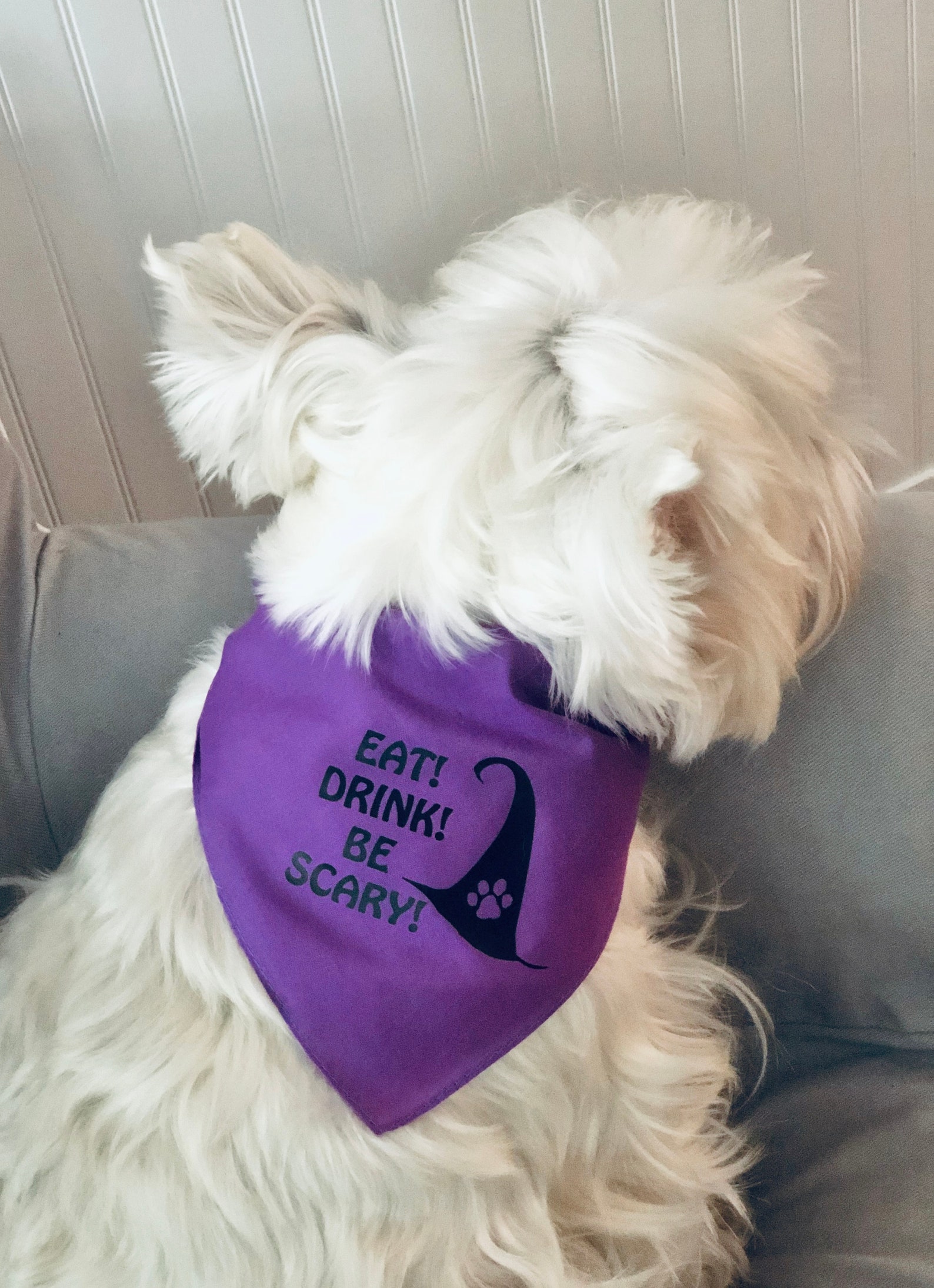 Halloween Dog Bandana Scary Dog Bandana Pet Bandana Witch Etsy