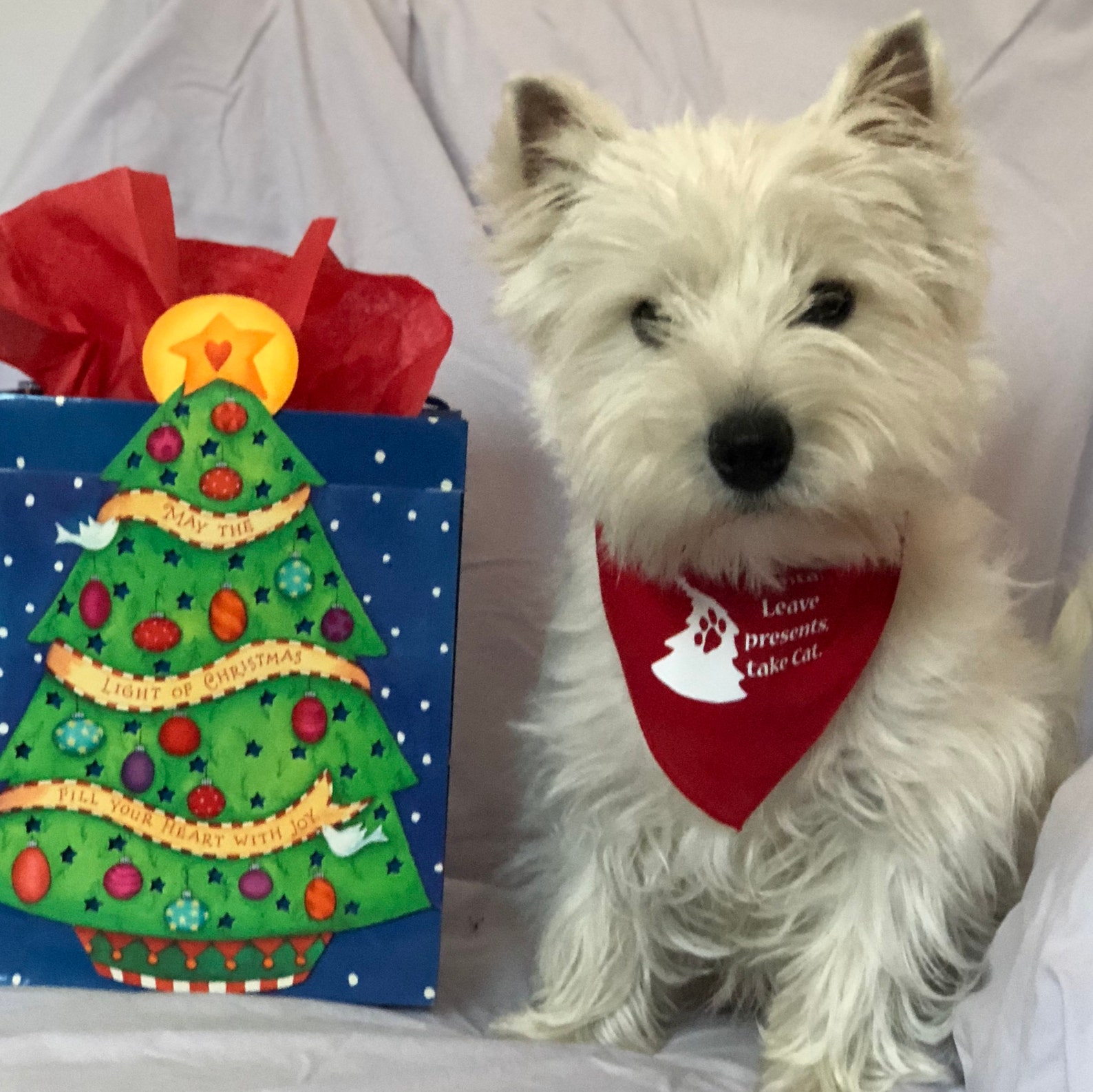 Dog Christmas Bandana Dear Santa Leave Presents Take Etsy