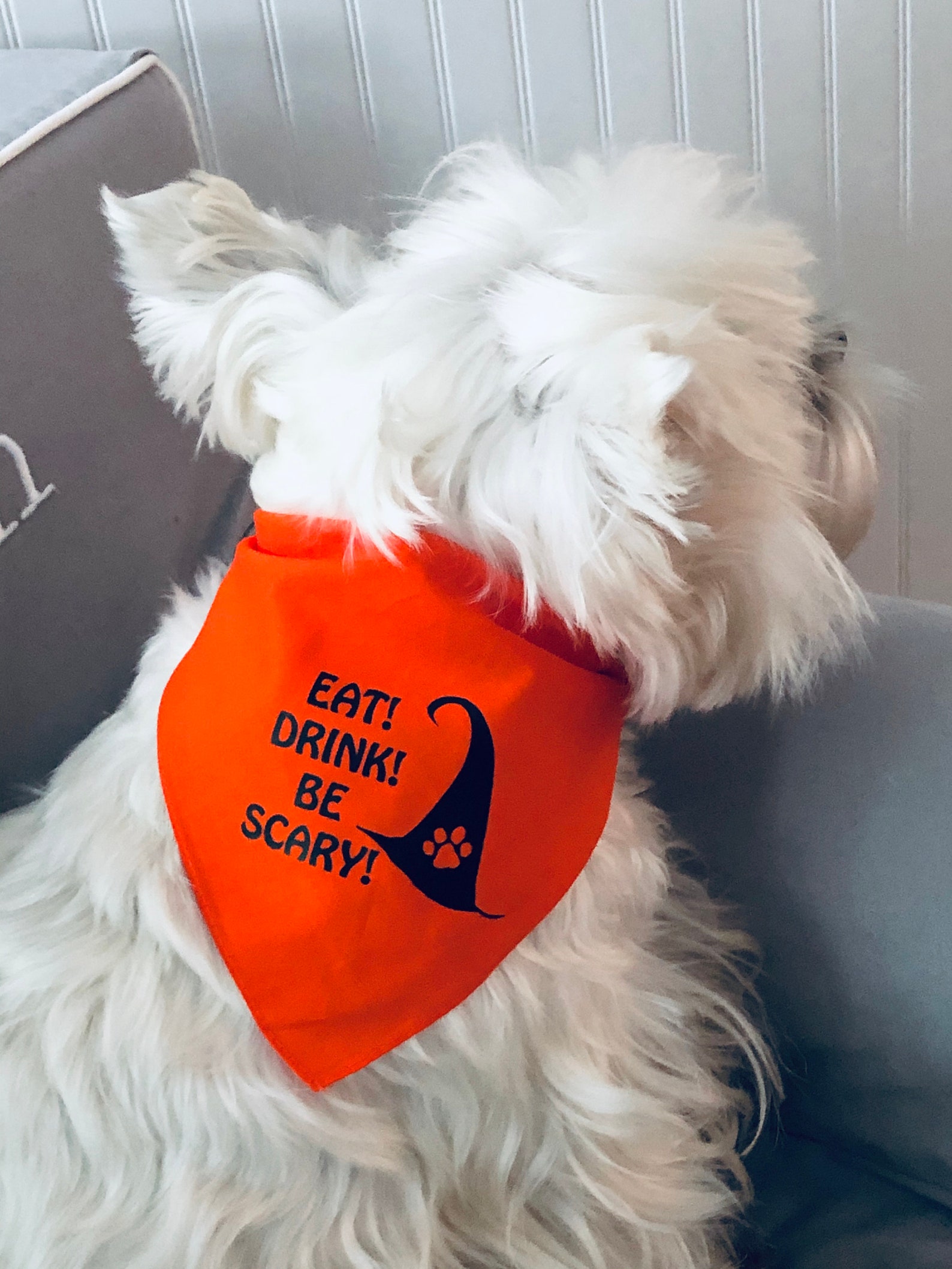 Halloween Dog Bandana Scary Dog Bandana Pet Bandana Witch Etsy