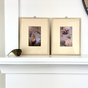 Framed Vintage Bird Prints /Martin Johnson Heade