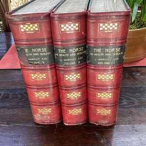 Antike Leder gebundene Bücher Das Pferd 1908 Drei Bände Rare Alte Bücher Reiterbücher Pferdepflege Bücher Vintage Bücher Historische Bücher