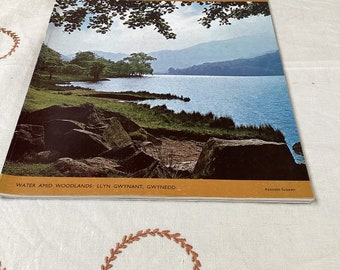 Revista Vintage Country Life: revista de estilo de vida británico de los años 70