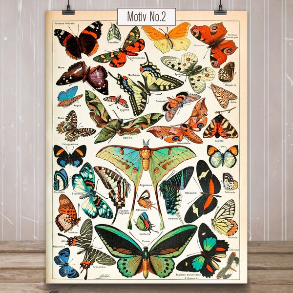 Children's room picture butterfly "PAPILLONS No.02" | Wall decoration poster country house decoration Dawanda living room kitchen bathroom - made by belflora