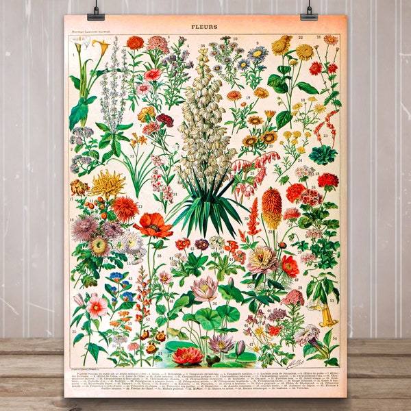 Poster Blumen Vintage Print "FLEURS 02" | Wanddeko Landhaus Deko Dawanda Wohnzimmer Küche Badezimmer -  belflora Kunstdruck