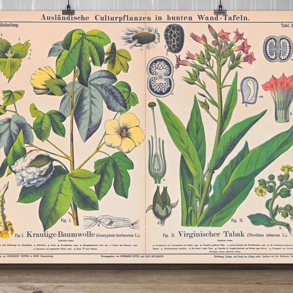 Wohnzimmer Poster Vintage Print "BOTANICAL 02" | Wanddeko Küche Giclée Bild Blumen Landhaus Deko Dawanda - Kunstdruck by belflora