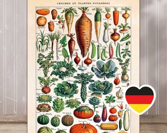 Vintage print poster decorative vegetables "VEGETABLES 01" | Wall decoration A3 vintage poster kitchen - belflora Best selling item