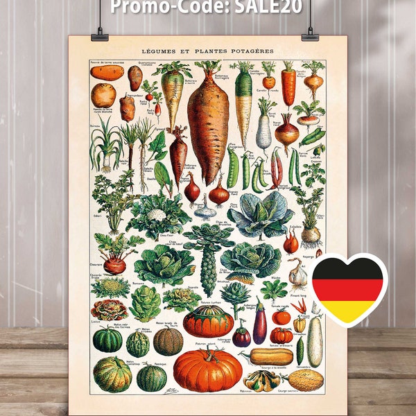 Vintage printposter decoratieve groenten "GROENTEN 01" | Wanddecoratie A3 vintage poster keuken - belflora Best verkochte item