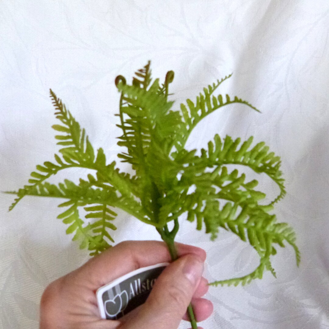 5 Soft Touch Mini Fern Picks Artificial Green Fern Etsy
