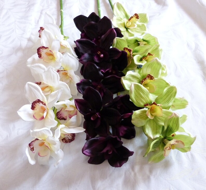 Cymbidium Orchid Spray containing 10 orchids available ...
