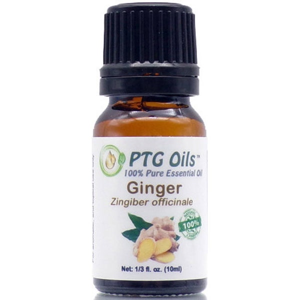 Ginger Essential Oil - GC/MS tested Pure and Natural Essential Oil