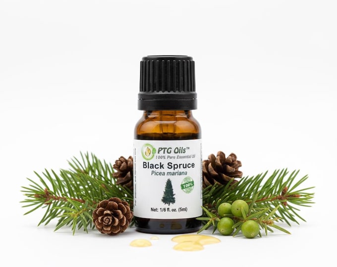 Black Spruce Essential Oil Fresh Woody Forest Aroma