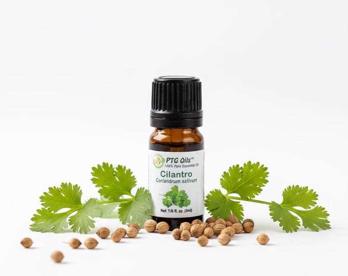 Cilantro Essential Oil Fresh Green Herbal Aroma