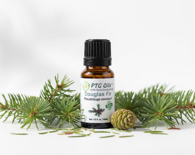 Douglas Fir Essential Oil Fresh Evergreen Forest Aroma