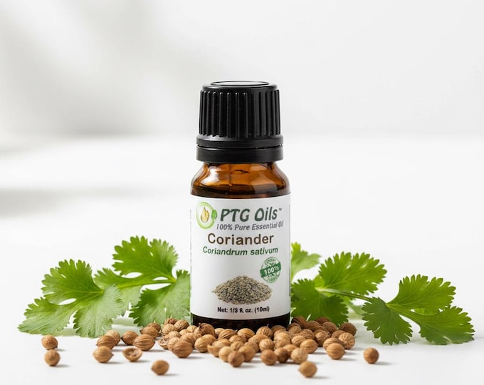 Coriander Essential Oil Warm Spicy Citrus Aroma