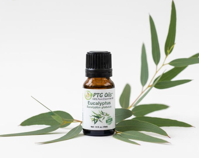 Eucalyptus Essential Oil Fresh Clean Herbal Aroma