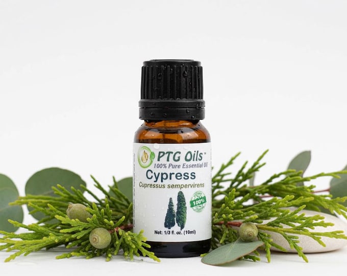 Cypress Essential Oil Fresh Woody Evergreen Aroma