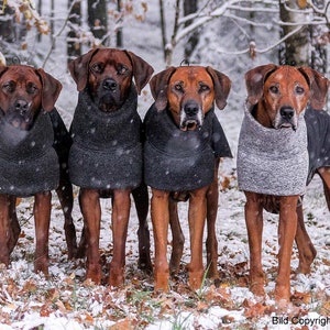 Dog coat KIRA winter coat Rhodesian Weimaraner Doberman Boxer Setter and all other dogs image 1