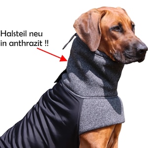 SOFTSHELL dog coat "SHIMA" winter coat Rhodesian Weimaraner Doberman Boxer Setter and all other dogs