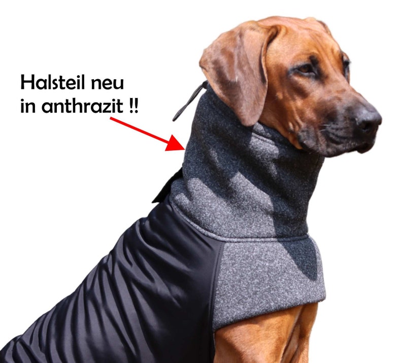 Dog coat KIRA winter coat Rhodesian Weimaraner Doberman Boxer Setter and all other dogs image 4