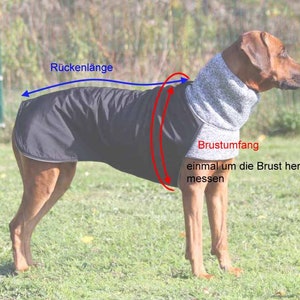Dog coat KIRA winter coat Rhodesian Weimaraner Doberman Boxer Setter and all other dogs image 3