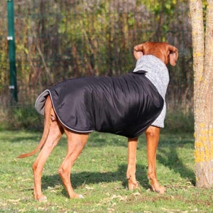 Dog coat KIRA winter coat Rhodesian Weimaraner Doberman Boxer Setter and all other dogs image 5