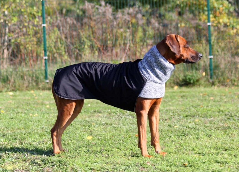 Dog coat KIRA winter coat Rhodesian Weimaraner Doberman Boxer Setter and all other dogs image 2