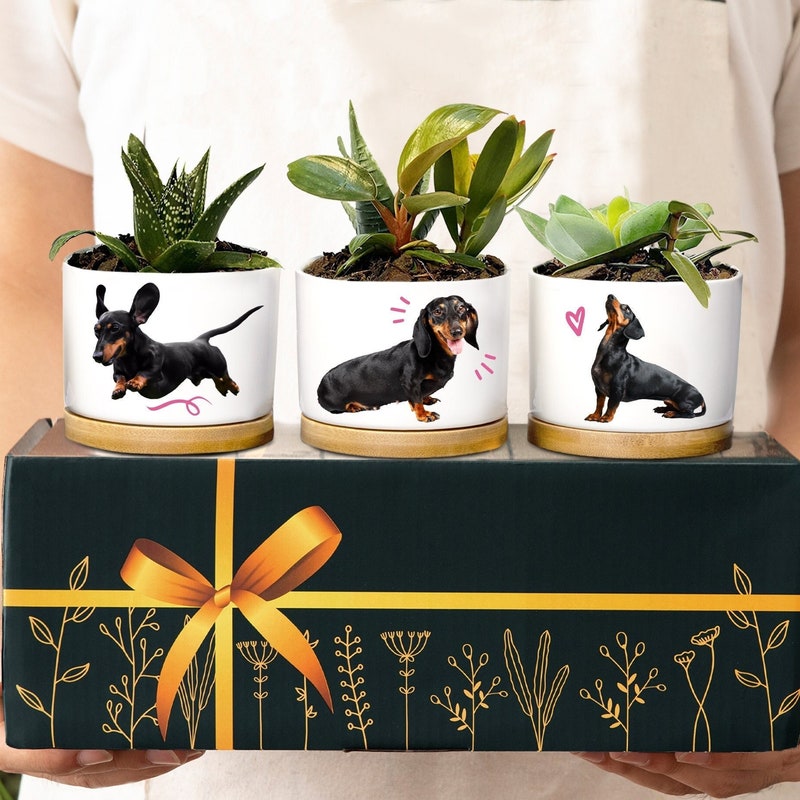 Dachshund Gift 60+ Gift Ideas for 2025